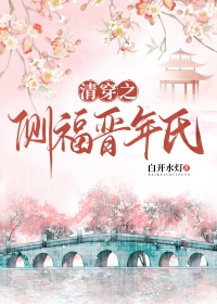 清穿之老十福晋