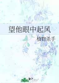 望他眼中起风雨的句子