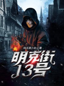 明克街13号无防盗章节