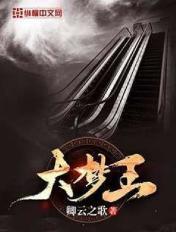 大梦王菲