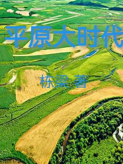 平原大货车拉货视频