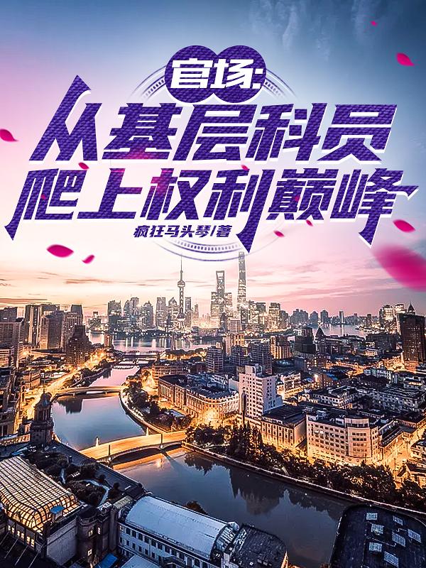 从科员到省委书记小说