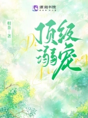顶级宠婚 小说