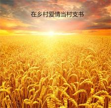 乡村爱情里面的村主任