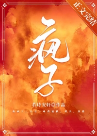疯子小说内容