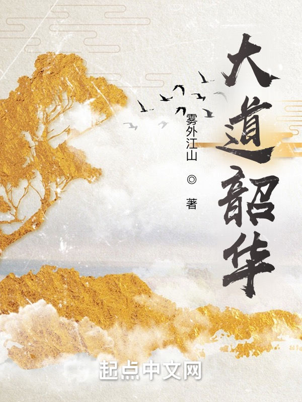 类似大道韶华的小说