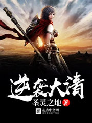 逆袭大清txt下载起点