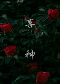 喜神与忧小说