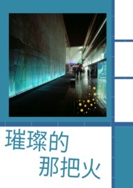 璀璨的那把火
